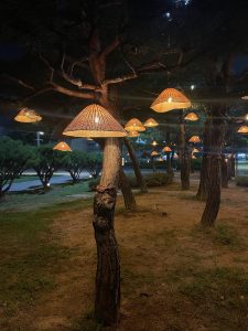 Qué hacer 3 días en Seúl: visitar Suwon de noche