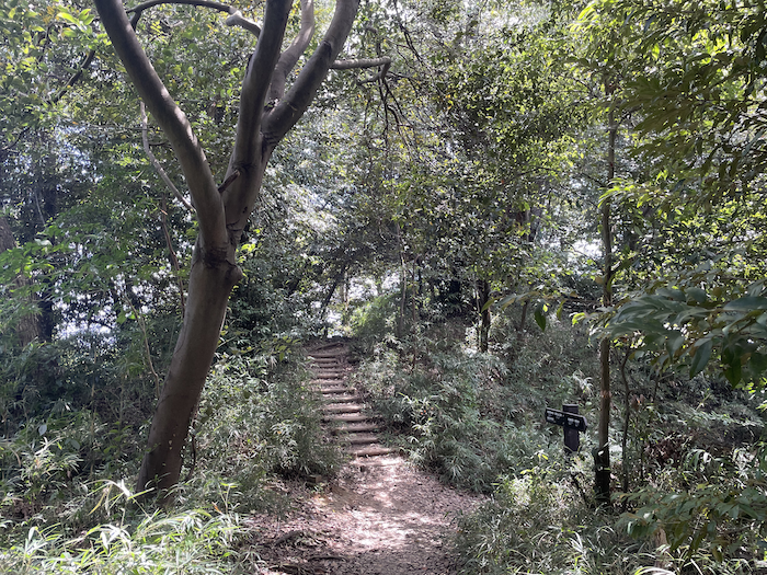 Excursión de 1 día a Kamakura